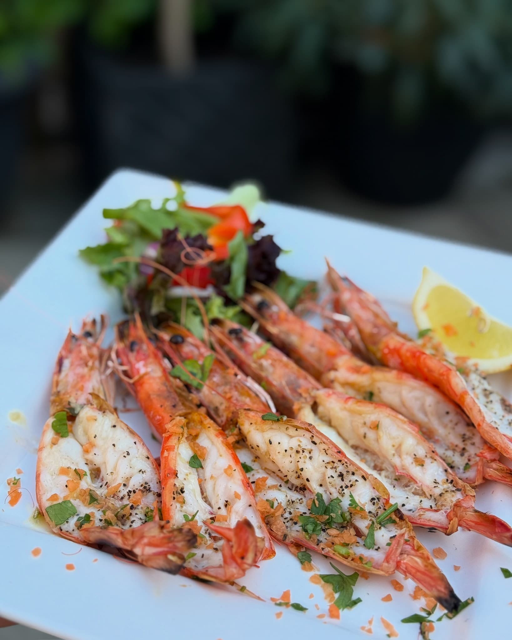 Wine and dining at Pupa