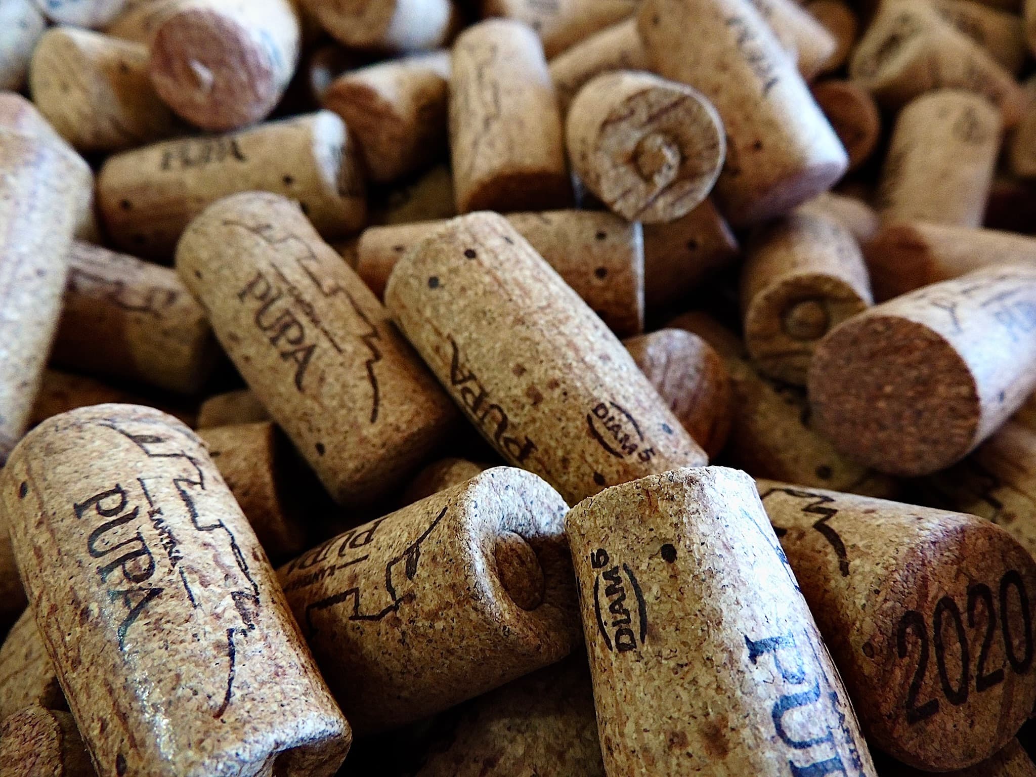 Pupa wine corks