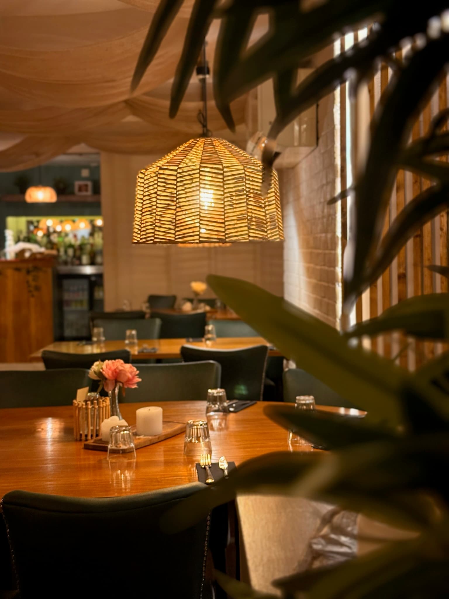 Dining at Pupa Restaurant
