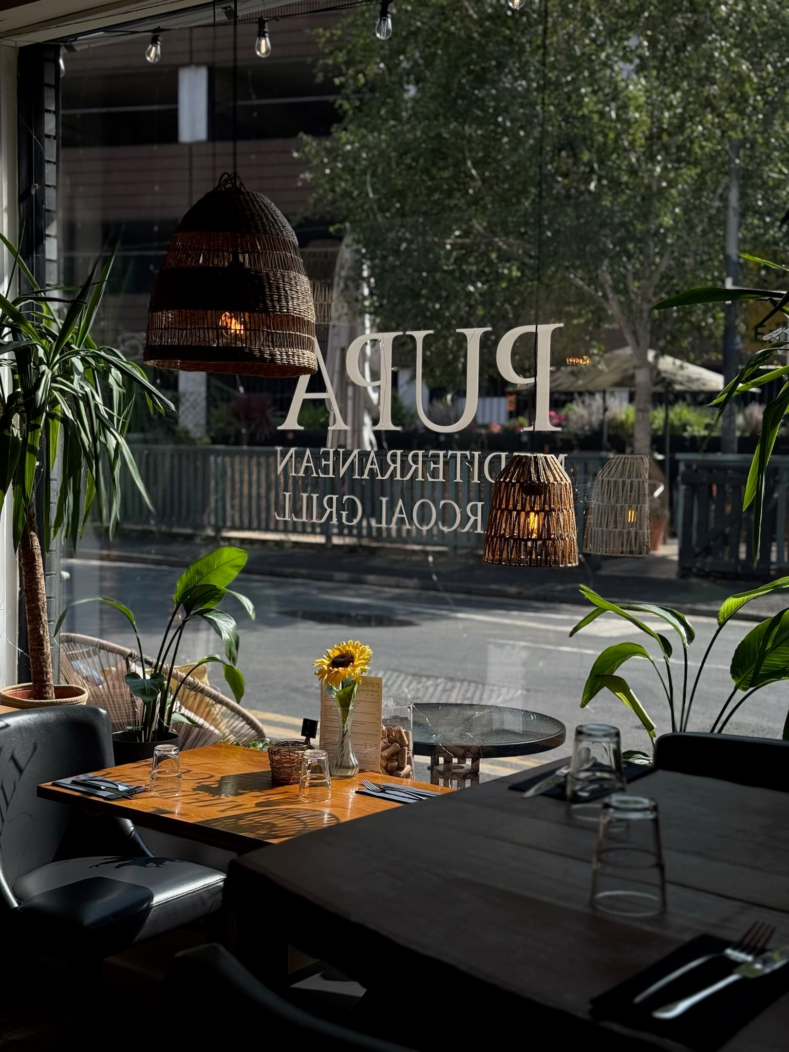 Evening at Pupa